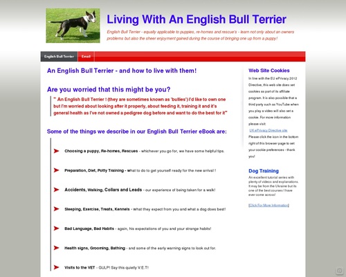 English Bull Terrier | How to live with and without them